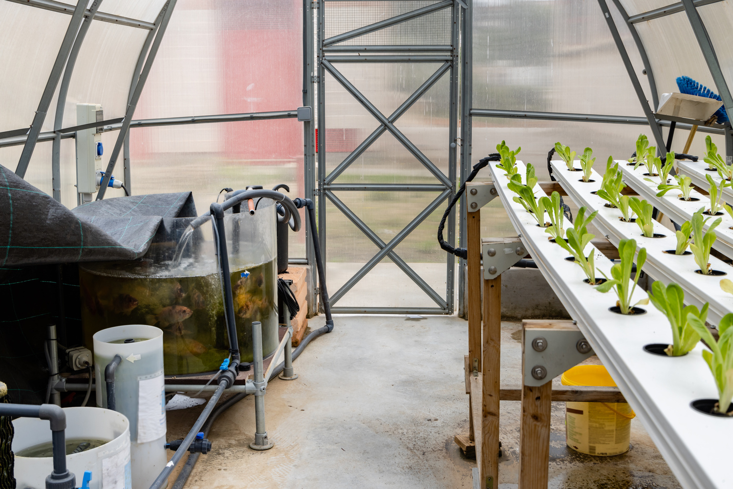 Aquaponics or Hydroponic Farming System